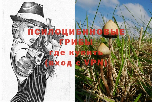 мет Богородицк