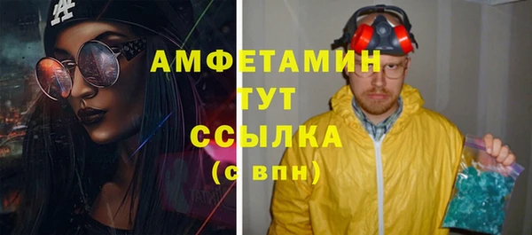 шишки Белокуриха