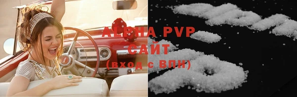 шишки Белокуриха