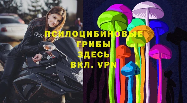мяу мяу мука Богданович