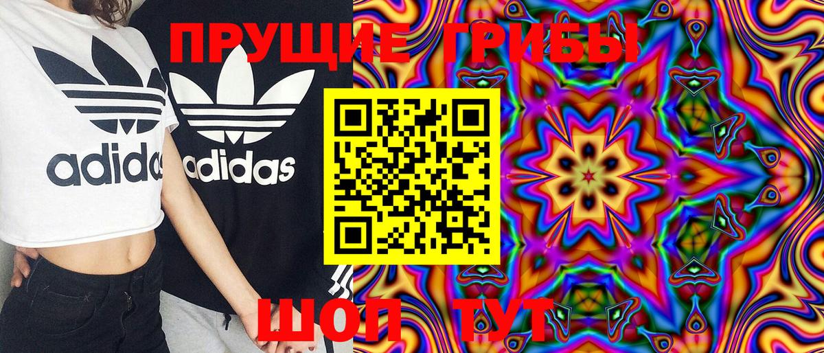 Галлюциногенные грибы Cubensis Маркс
