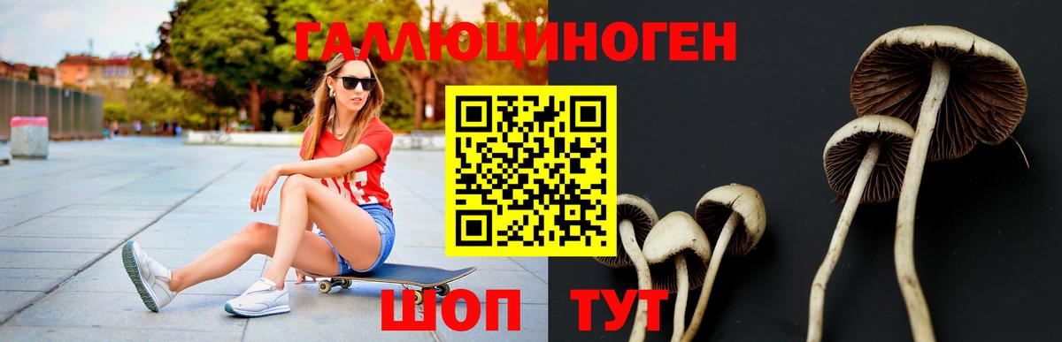 Псилоцибиновые грибы Psilocybe  Галлюциногенные грибы MAGIC MUSHROOMS  наркота  Маркс 